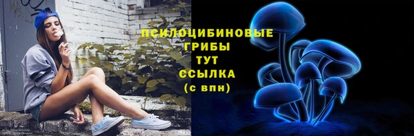 стаф Остров
