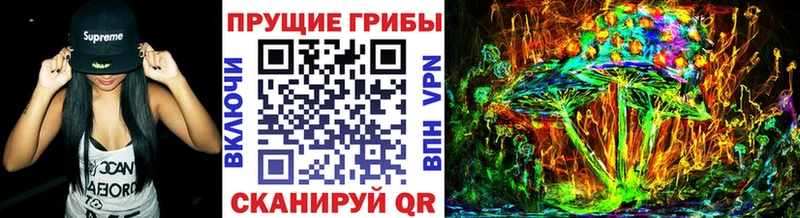 Галлюциногенные грибы Psilocybe  продажа наркотиков  Каменск-Шахтинский 